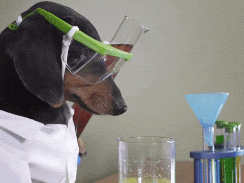 Dog in lab coat and glasses doing chemistry