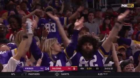 Football Nfl GIF by Minnesota Vikings - Find & Share on GIPHY