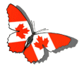 canadian butterfly