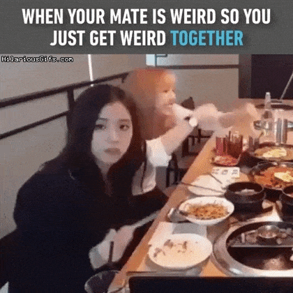 Weird together in funny gifs
