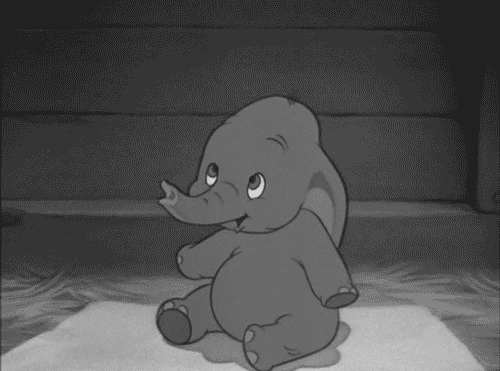 disney adorable walt disney dumbo baby elephant