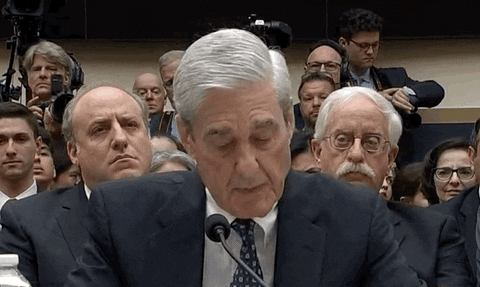 Mueller Hearings GIF - Find & Share on GIPHY