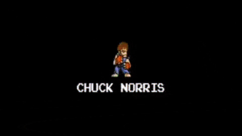 Chuck norris nailed it
