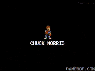 Chuck norris nailed it in funny gifs
