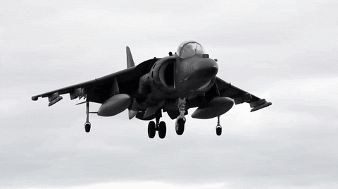Harrier Landing GIF - Find & Share on GIPHY