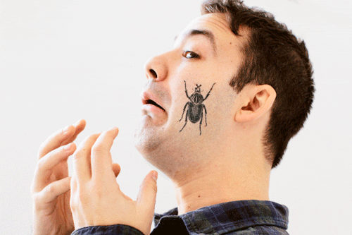 bugs temporary tattoo gif find amp share on giphy bugs temporary tattoo gif find amp share on giphy