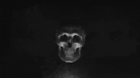 Skull Animation GIFs - Find & Share on GIPHY