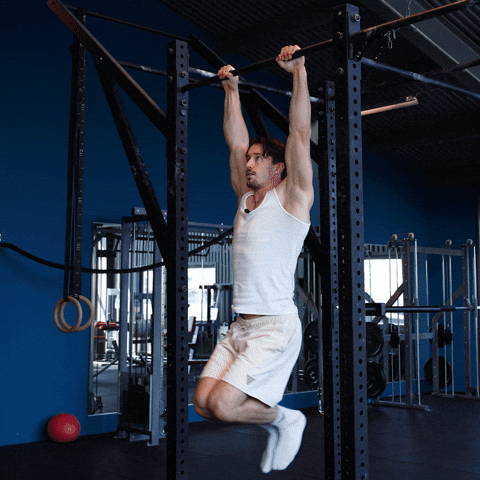 advanced tuck front lever raises exercise demonstration