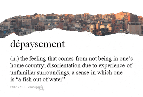 water home fish alone french