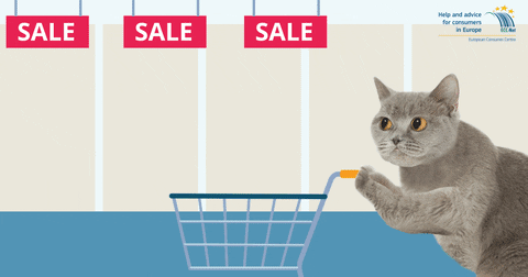 A cat as a consumer getting influenced by affiliate marketing