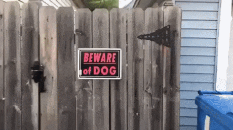 Beware of dog in funny gifs