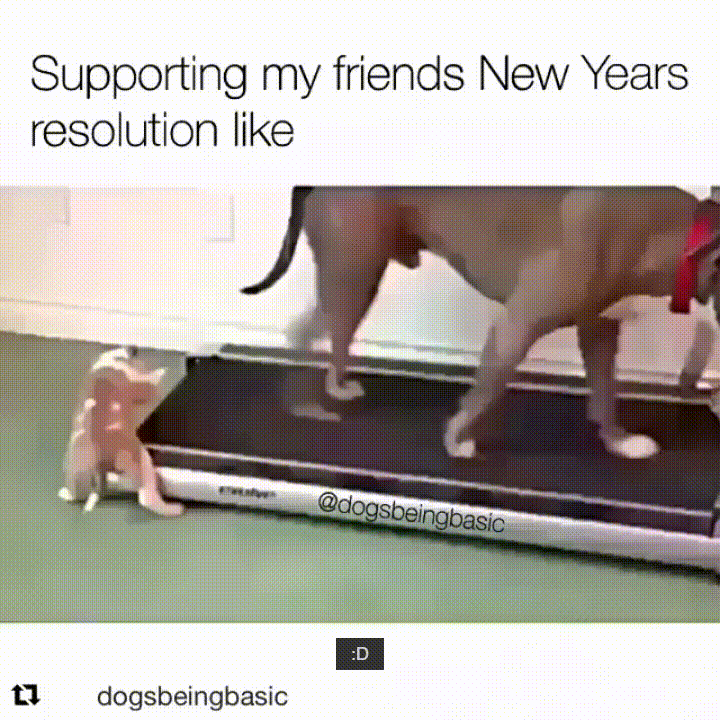 Year Resolution GIF - Find & Share on GIPHY