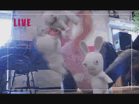 https://media.giphy.com/media/fJEhT9HHpzdD2/giphy.gif