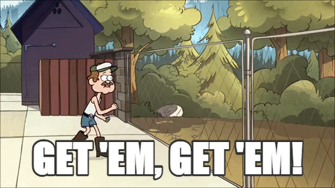 giphy.gif