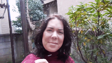 giphy.gif