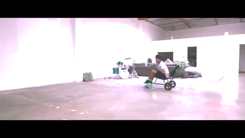 giphy.gif