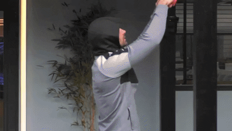 giphy.gif