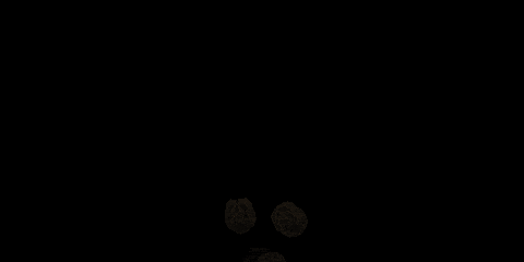 licecap fps gif licecap fps gif