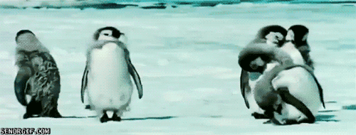 Cheezburger snow penguin animals dancing