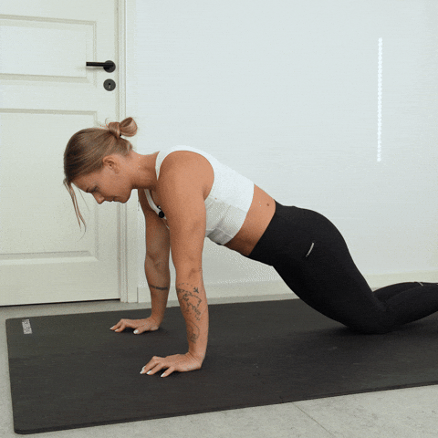 negative knee push up exercise demonstration
