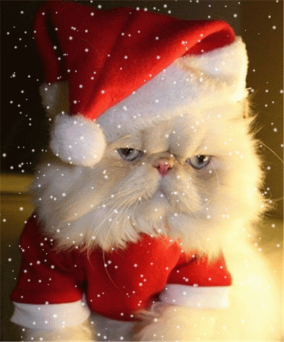 Chritmas GIFs - Find & Share on GIPHY