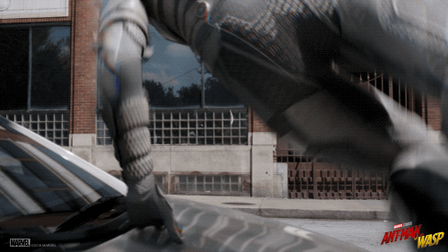 Antman #Thewasp #Marvelstudios #Ghost GIF by Marvel Studios