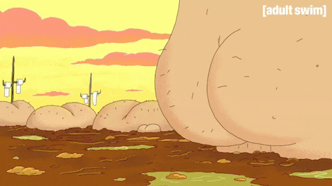 giphy.gif