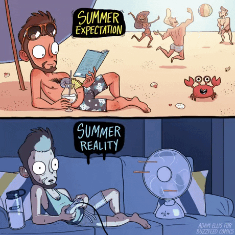 Summer Expectation Vs Reality in funny gifs