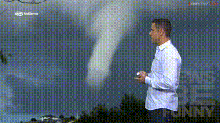 Weather GIF - Find & Share on GIPHY