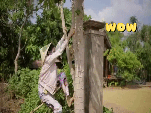H'Hen Niê khiến fan thích thú khi trổ tài bếp núc, trèo cây điêu luyện tại quê nhà Đắk Lắk