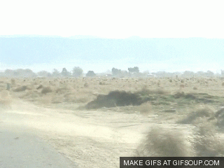 google photos make gif google photos make gif