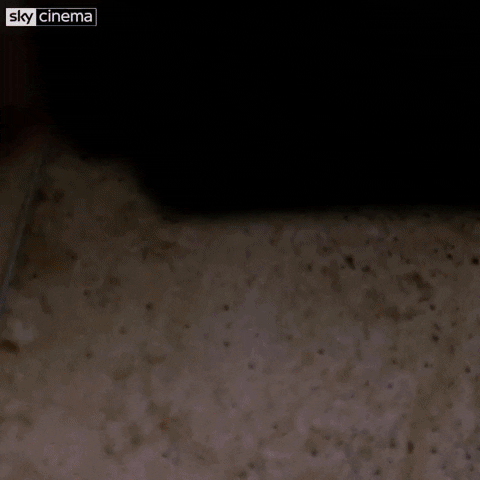 Bill Murray Smile GIF by Sky