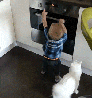 Catto trying to protect little hooman in cat gifs
