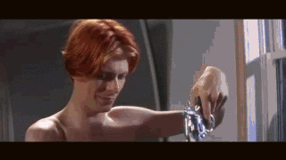 Which was the better '…Fell to Earth'? Giphy