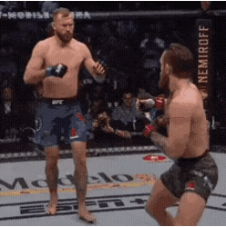 giphy.gif