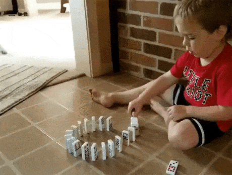 Dog Bumps into Dominoes Played by Kid Hooman
