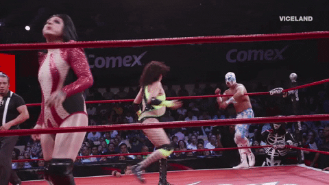 Lucha Libre Win GIF by THE WRESTLERS