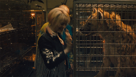 harley quinn getting excited over dog in birds of prey