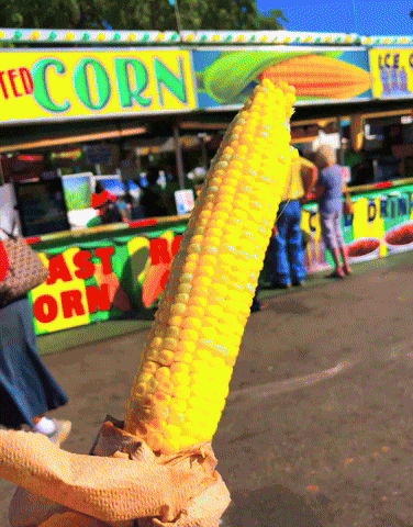 Oklahoma State Fair, Inc. GIF - Find & Share on GIPHY