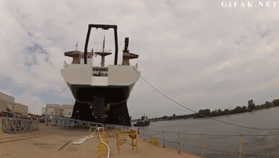 surprise animated GIF