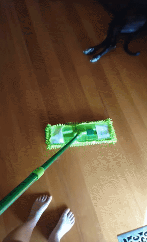 House Cleaning GIF