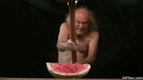giphy.gif