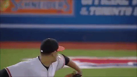 giphy.gif