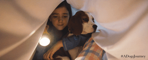 A Dog's Journey 2019