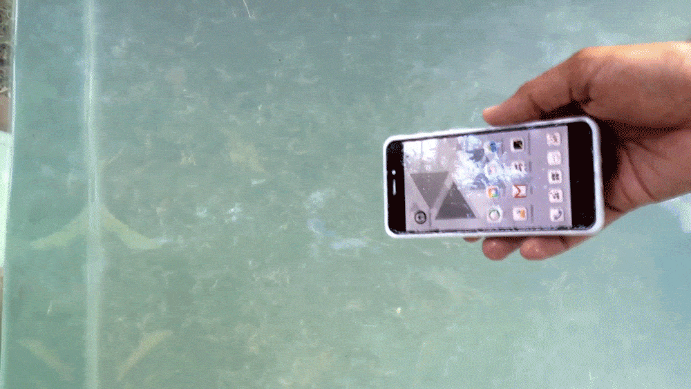 Smartphone GIF Find & Share on GIPHY