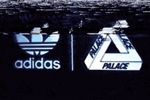 Adidas GIF - Find & Share on GIPHY