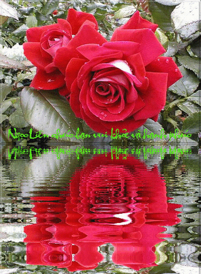 Hình ảnh có liên quan