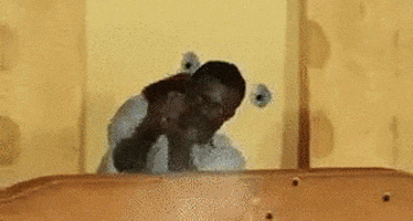 Nice Meme GIFs - Find & Share on GIPHY