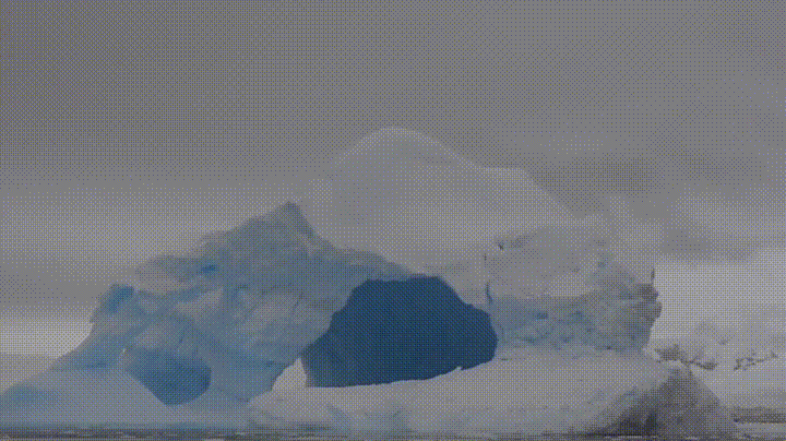 Antarctica GIFs - Find & Share on GIPHY