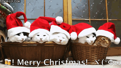 Image result for merry christmas gif